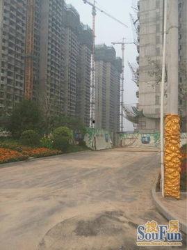 青岛蓝湾爆料最新消息,揭秘神秘项目进展与影响 第1张 青岛蓝湾爆料最新消息,揭秘神秘项目进展与影响 第1张