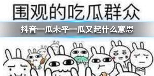 抖音吃瓜免费福利,免费福利等你来抢！  第3张