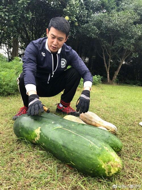 吃瓜爆料结婚视频大全下载,海量精彩瞬间等你下载 第2张 吃瓜爆料结婚视频大全下载,海量精彩瞬间等你下载 第2张